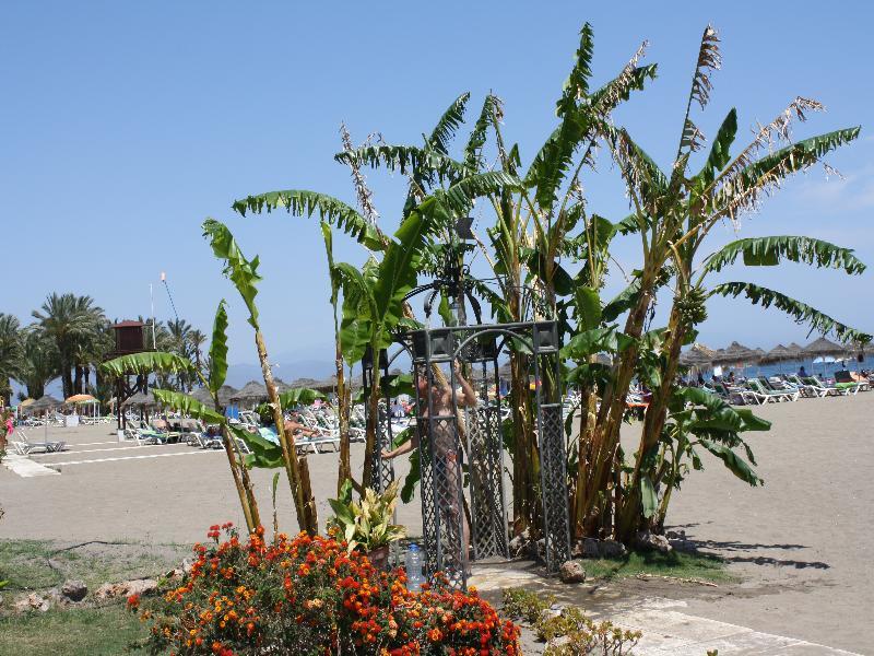 Hotel Ms Tropicana Torremolinos Exteriér fotografie